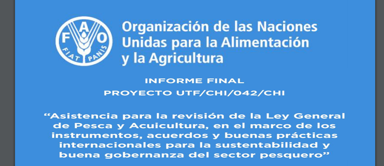 informe-fao