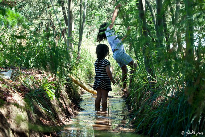 Cuotas de pesca: ¿Licitar o no licitar?