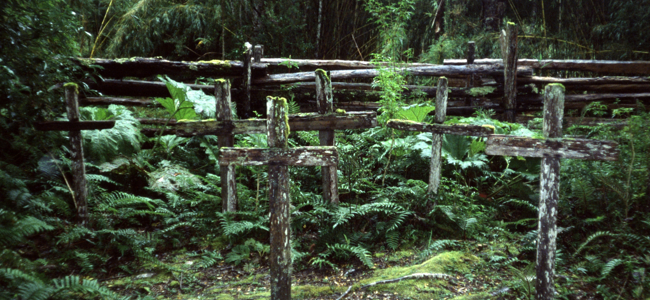 Libro sobre muerte masiva de obreros de Chiloé en Aysén: Origen de Cementerio Isla de los Muertos en Río Baker 1906