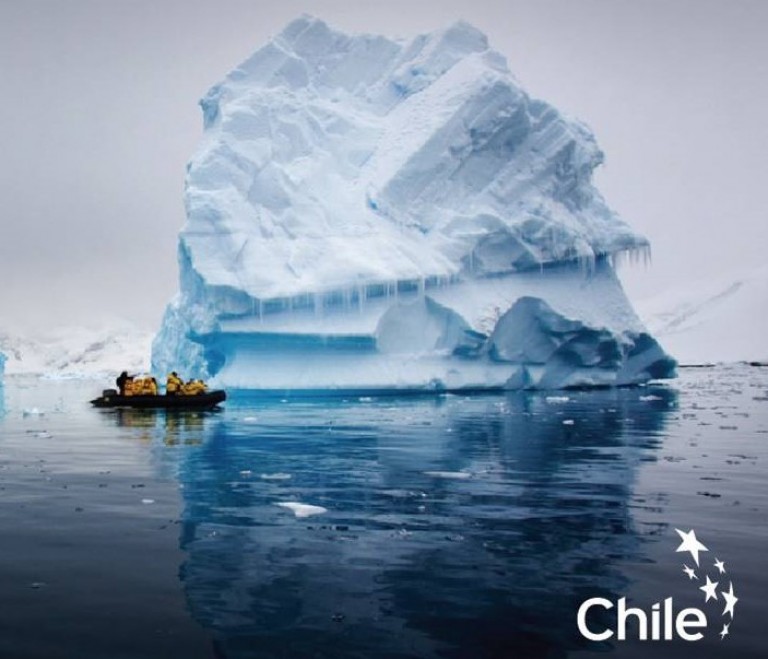 El gobierno de Patricio Aylwin y el Arte. Un gran iceberg para exportar frutas y salmones