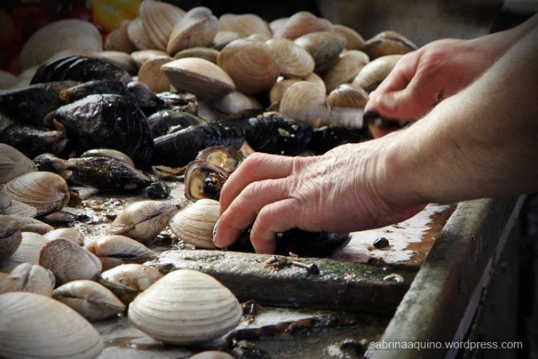 Marea Roja en Chiloé: Pescadores de Cucao no pueden extraer mariscos