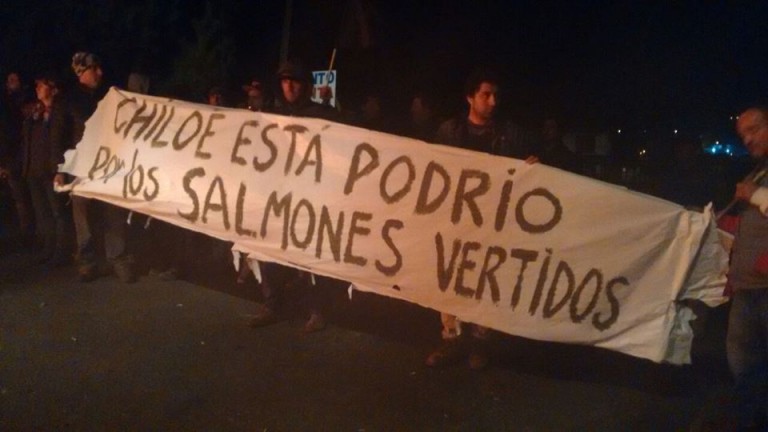 FOTOS Crisis en Chiloé: Protesta histórica contra contaminación, industria salmonera y miserable bono de Bachelet