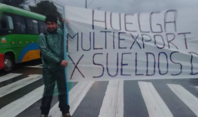 Salmonera Multiexport enfrenta huelga legal por bajos salarios