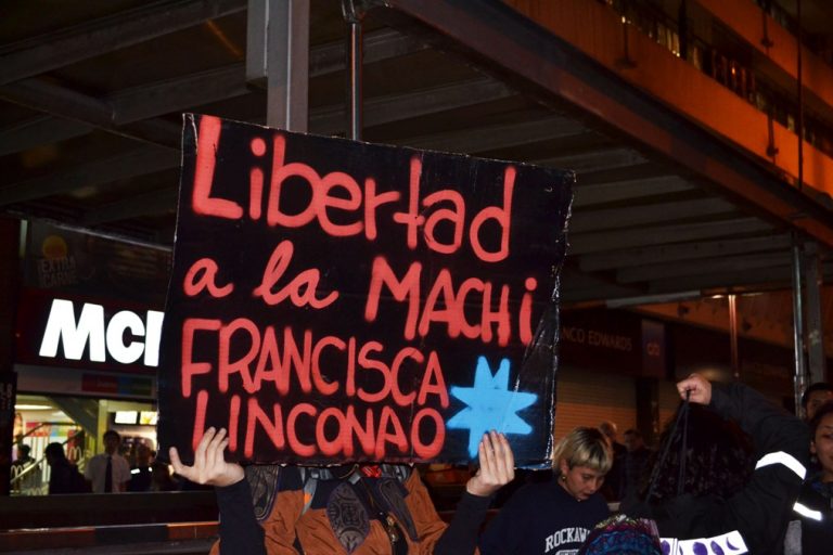 Fotos: Marcha de apoyo a Machi Francisca Linconao en Santiago