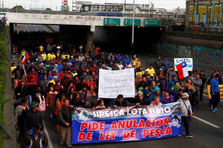 Lucha contra Ley Longueira genera nueva federación de la pesca artesanal del Biobío