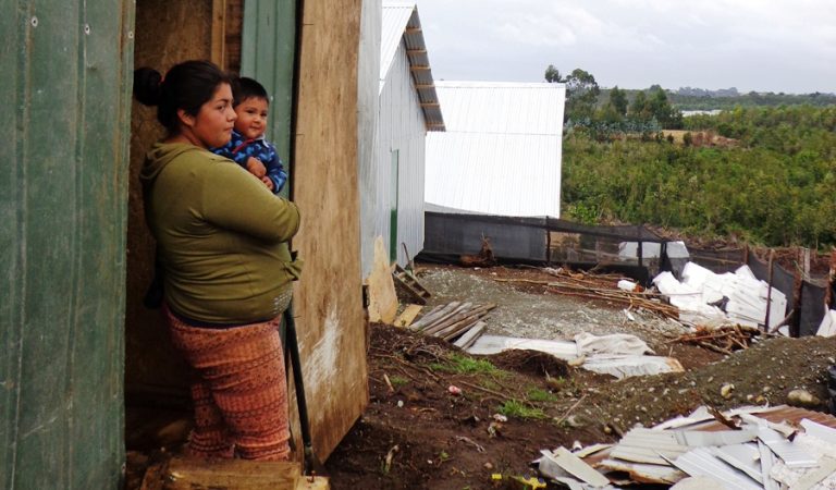 ¿A dónde va el respeto de los derechos humanos en las regiones salmoneras de Chile?