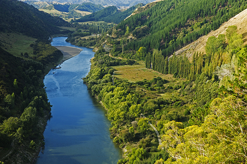 Gran revolución jurídica: Río Whanganui en Nueva Zelanda tiene los mismos derechos que una persona