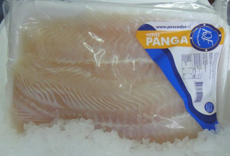 ¿Metales pesados en Pangasius en Chile?: ISP deberá entregar informes del «pez rata»