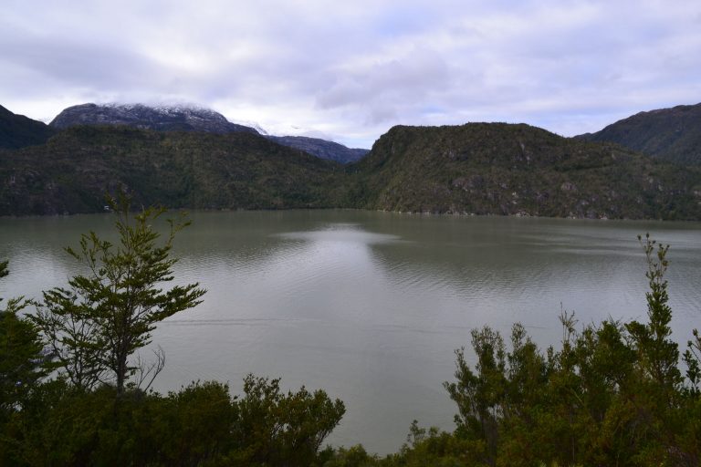 Científicos advierten negativos impactos en vida marina si embalsan el Río Baker