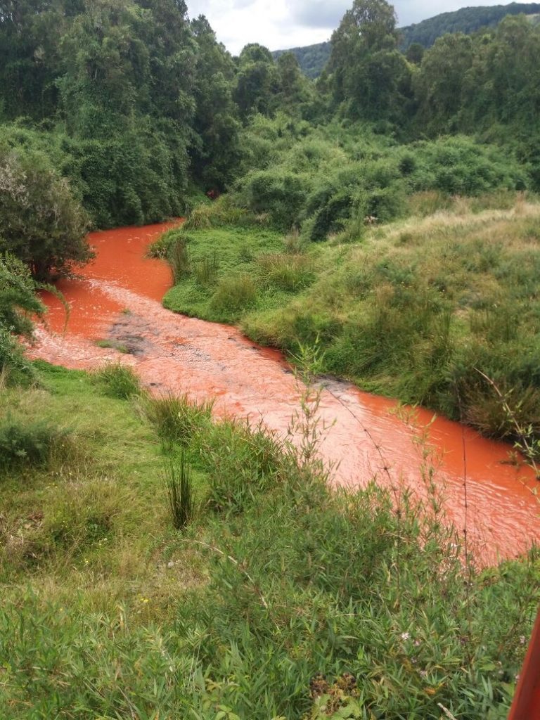 Nueva emergencia química salmonera en Chiloé. Contaminaron río con pinturas antifouling