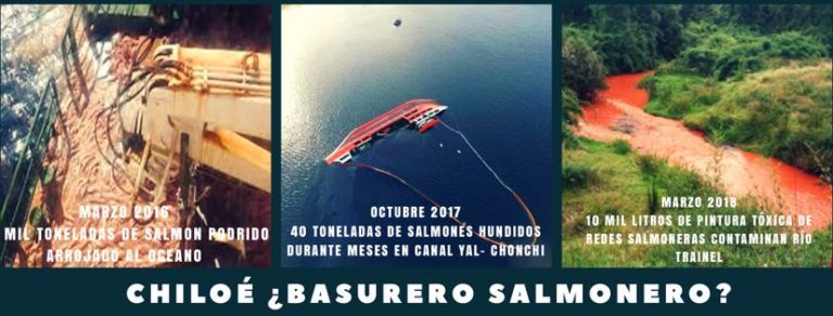 Contaminación Química Salmonera en Río de Chiloé: Hay que detener la corrupción estatal y la destructiva salmo-industrialización