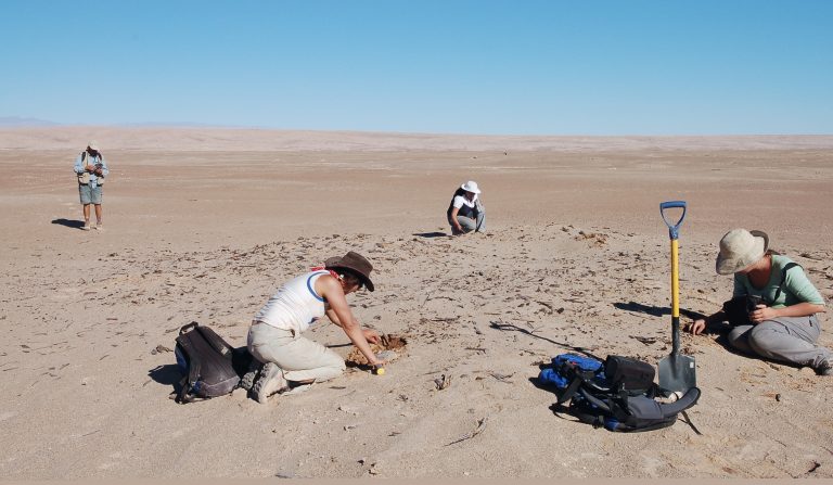 Pueblo sin agua, pueblo muerto: la advertencia del Acta de Tarapacá sobre sobreexplotación del agua en Desierto de Atacama