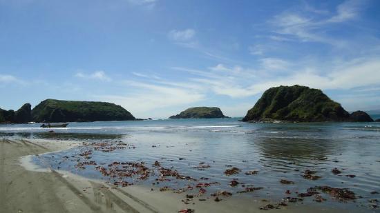 Histórico: Turismo genera más bienes y servicios que las salmoneras y supera a esta industria en el PIB