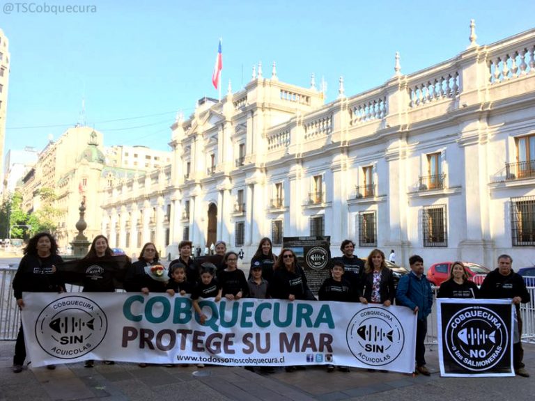 Contra la contaminación y corrupción, Cobquecura plantea férrea lucha contra las salmoneras de las siete familias