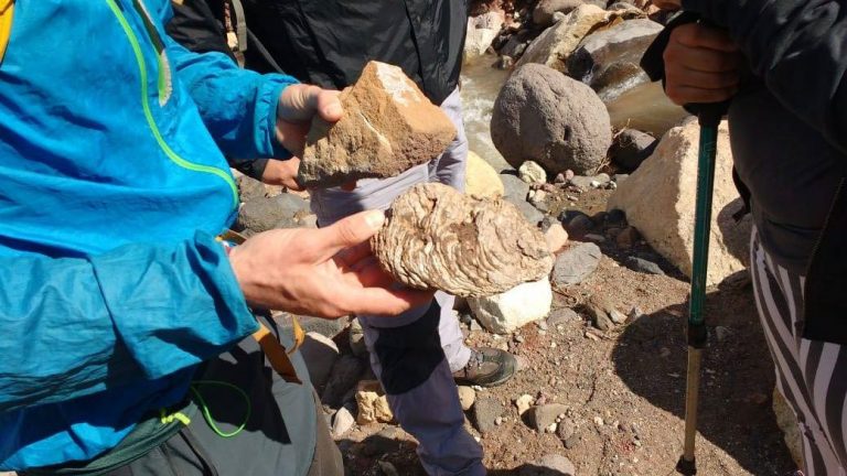 ¿Minería o turismo en la Patagonia?: Cuenca de Lago General Carrera revela área de Geositios únicos en el mundo