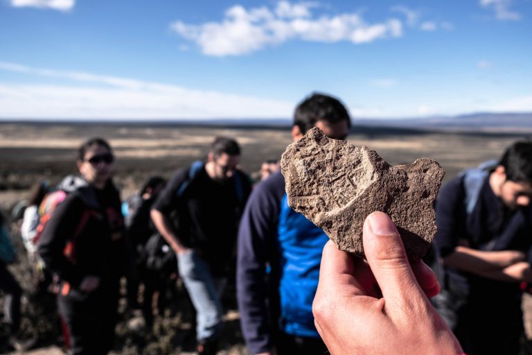 Positivo balance del primer Congreso Chileno de Paleontología en Magallanes