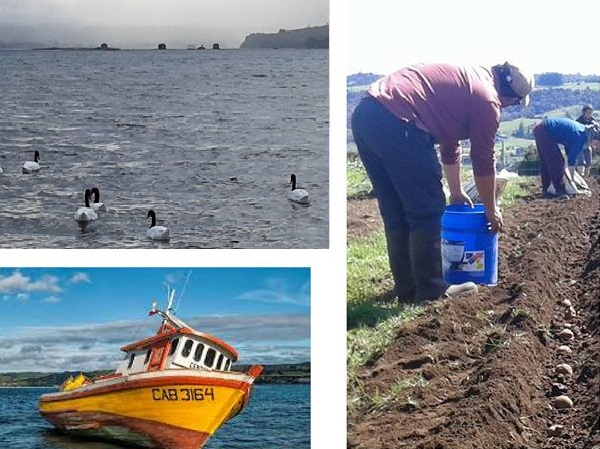 Tierras y Mar del Archipiélago de Chiloé / AUDIO Y NOTA