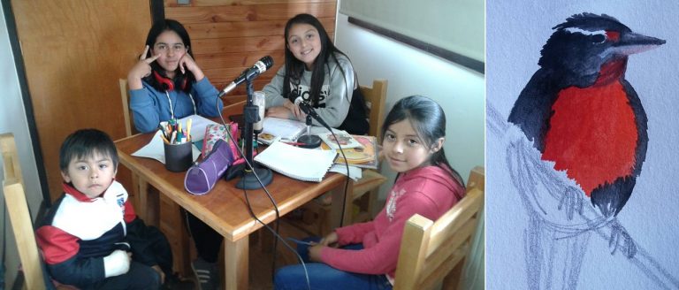 Desde Chiloé, Equipo Loica, comunicación radial de niñas por los derechos de la niñez