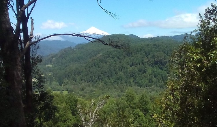 La letra chica del proyecto de ley que crea el Servicio de Biodiversidad y Áreas Protegidas (SBAP)