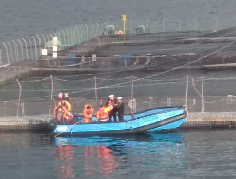 Salmones de Sangre: Otra tragedia laboral en la industria del salmón en Chiloé