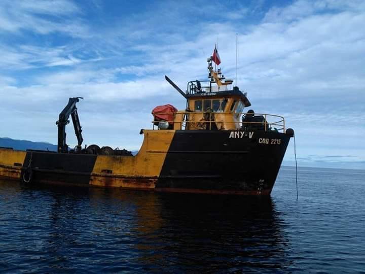 Otro tripulante de industria del salmón desaparece en aguas de Región de Los Lagos