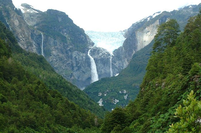 El cuidado del Medio Ambiente debe ser la base de Sustentación del Chile del  siglo 21