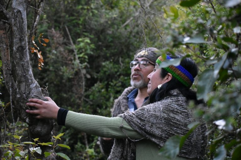 Entrevista a Longko Clementina Lepio Melipichun:  Defensa territorial, cultural y ambiental en Chiloé