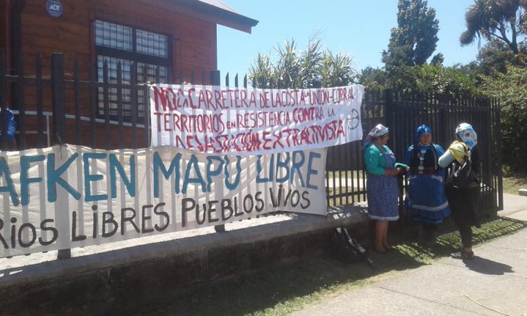 Destrucción de Alerces Milenarios: Comunidades Mapuche entregan observaciones contra carretera en Parque Alerce Costero