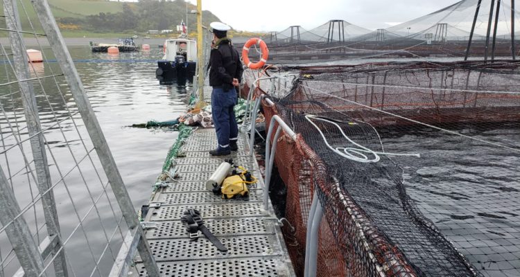 Indignación en trabajadores causa la muerte de otro buzo en industria salmonera en Chiloé