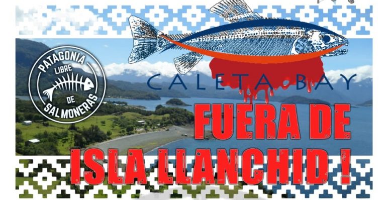 Comunidad Mapuche Williche de Isla Llanchid rechaza instalación y funcionamiento de salmonera