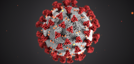 Coronavirus en Minería: Temen que cambio de turno en Pascua Lama ponga en riesgo a localidad de Chollay