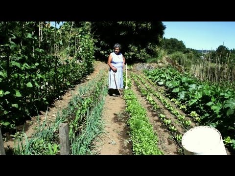 La agroecología como vacuna