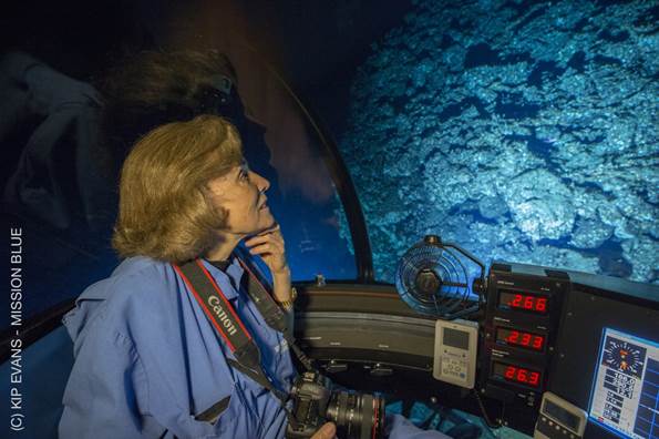 Sylvia Earle, destacada científica de ONG Misiion Blue, se suma para detener Puerto de Minera Dominga