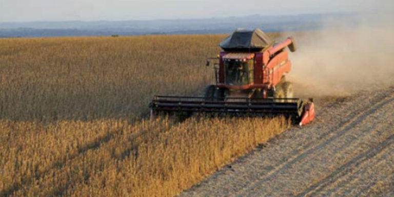 Cultivos transgénicos en Suramérica. Bájate aquí el Atlas de los Agronegocios