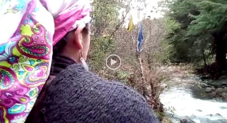 VIDEO: Manifiesto Mapuche desde el río Chesque frente a industria salmonera