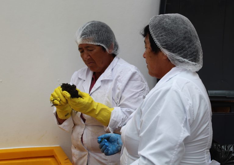 Mujeres algueras de Chiloé avanzan en producción de mermeladas artesanales en base a agar-agar orgánico