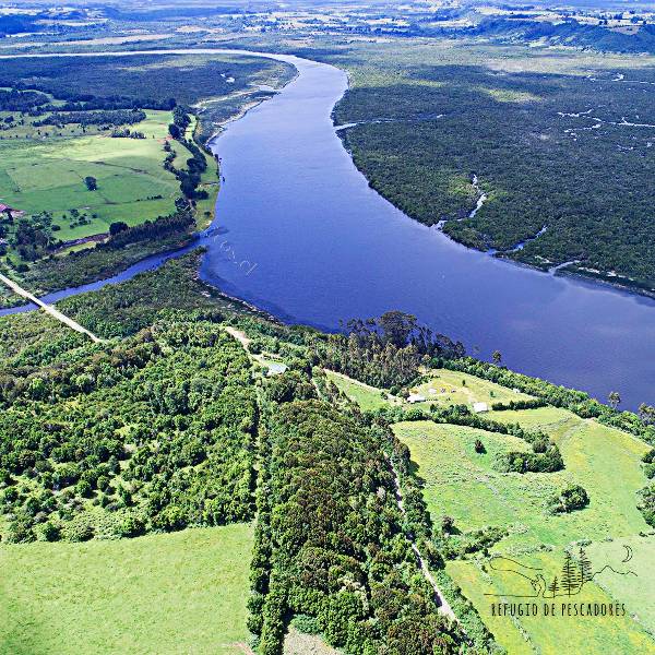 Escape de salmones en Lago Llanquihue podría generar gran impacto a ecosistemas y comunidades de Río Maullín