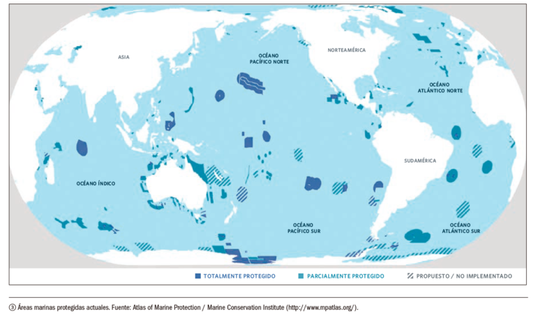 Aprende todo sobre Áreas Marinas Protegidas, sus logros, desafíos y direcciones futuras
