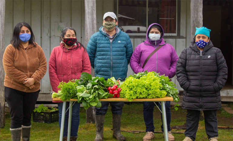 Invitan a comprar hortalizas y frutas de productores locales en nueva plataforma digital en Osorno