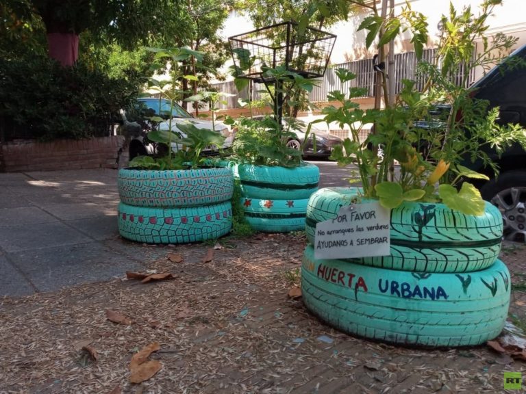 VIDEO: Huertas urbanas de Buenos Aires generan soberanía alimentaria