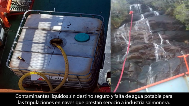 Tripulantes de naves salmoneras denuncian falta de agua para beber y vertido de líquidos contaminantes al mar