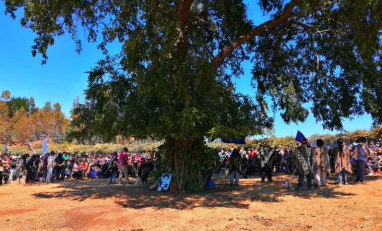 Pronunciamiento del Lef Trawun desde Temucuicui:  Derechos Colectivos, Soberanía Territorial y Autodeterminación Mapuche