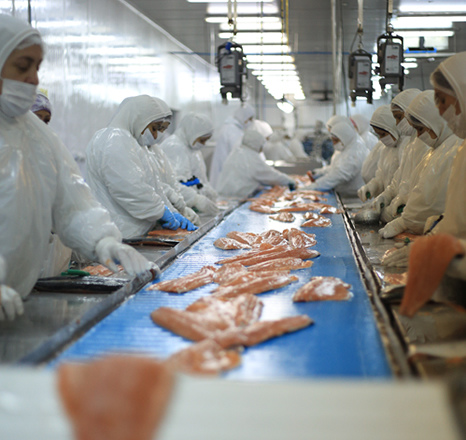 1° de mayo: Dirigentes de trabajadores navieros y del salmón reflexionan sobre el actual movimiento sindical