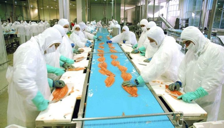 Trabajo forzoso en industria salmonera chilena: Sindicatos y comunidades confirman el abuso en este enclave exportador