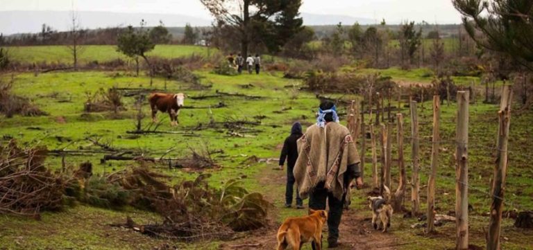 Abandono, exclusión e injusticia: Vida rural campesina y mapuche en tiempos de crisis sanitaria