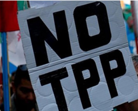 La amenaza latente del TPP 11 en Chile