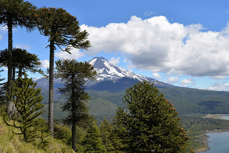 Avanzan acuerdos para crear nuevo instituto de investigación en ciencias de la Patagonia