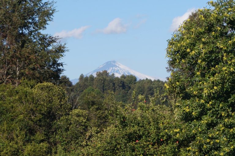 Triunfo Judicial Mapuche en Peweñantu-Villarrica hace respetar Consulta del Convenio 169 y fortalece los Ecosistemas Espirituales