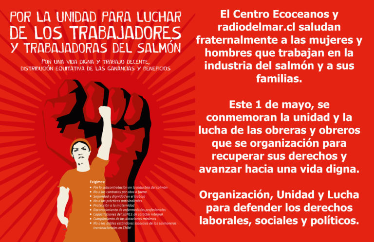 Saludo del Centro Ecoceanos a mujeres y hombres que trabajan en la industria del salmón