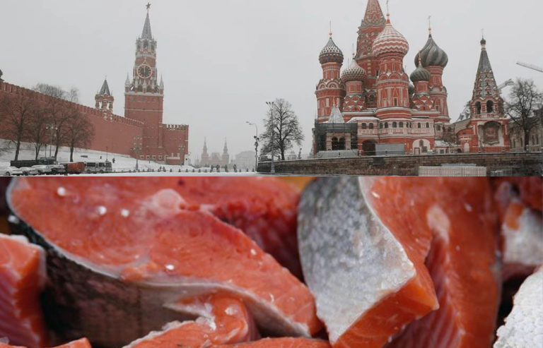 Rusia confirma 52 hallazgos de químicos cancerígenos en salmón chileno entre el 2019 y 2021